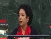 ممثلة باكستان بالأمم المتحدة: سنظل داعمين للقضية الفلسطينية وكفاح شعبها