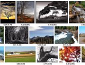 جوجل تطور خوارزميات جديدة قادرة على تصنيف الصور وفقا لجمالها