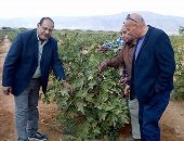 صور.. مدير منطقة تعمير جنوب سيناء يتفقد المزرعة النموذجية بمدينة أبو زنيمة