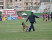 لقطة طريفة.. "كلب بوليسى" يحاول الركض خلف الكرات فى مباراة طنطا والداخلية 