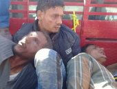 مزارعون يضبطون 3 لصوص أثناء سرقتهم مواشى بالفرافرة