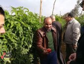 زراعة البرلمان تعقد اجتماعا طارئا لبحث أزمة إلقاء صرف 88 قرية ببحيرة قارون 