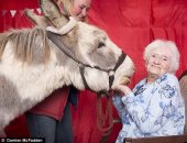 بحبك يا حمار.. ديلى ميل: الحيوانات تساعد المسنين على الطمأنينة والعلاج
