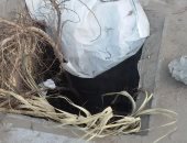 شكوى من وجود بالوعة صرف بدون غطاء بدوران ساعة الزهور فى الإسكندرية