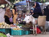 صورة اليوم.. عالم ستات مليان حكايات