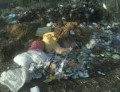 شكوى من تراكم القمامة بترعة سحبان بقرية الكراكات فى كفر الشيخ