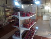 الداخلية تضبط 551 قضية تموينية خلال 24 ساعة على مستوى الجمهورية 