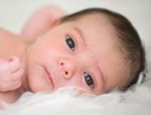 بعد تحذير الصحة.. ما مخاطر إعطاء الرضع ألبان صناعية مر على تحضيرها 24 ساعة