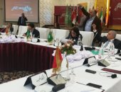 محمد رشاد يطالب بـ قاعدة بيانات للنشر فى الوطن العربى