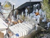 اليابان تبدأ إعدام دجاج بعد تأكيد تفشى إنفلونزا الطيور