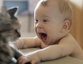 شعر القطط سبب فى إصابة طفلك بحساسية الصدر
