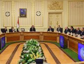 مجلس الوزراء مؤكدا احترامه الكامل لأبناء الصعيد: رمز الأصالة والوطنية  
