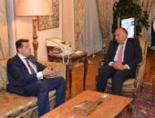 النائب طارق رضوان: اتفقنا مع وزير الخارجية على تكثيف التواصل والتعاون