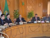 قنصل الصين يزور الإسماعيلية ويبحث مع المحافظ الشراكة المصرية الصينية