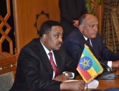 وزير الخارجية: توقيع مذكرات التفاهم بين مصر وإثيوبيا خلال أعمال الشق الرئاسى