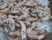 علشان محدش يضحك عليك.. اعرف الفرق بين الجمبرى البلدى والمستورد.. صور