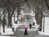 صور.. ثلوج تجتاح ولايات جنوب أمريكا وتتسبب فى إلغاء رحلات الطيران