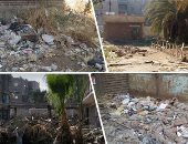 صور.. القمامة تحاصر مدرسة الزاوية الفنية بالقاهرة.. "اليوم السابع" يرصد تحويل الأهالى سور مدرسة لـ"مقلب زبالة".. أولياء أمور: أصبحت ملجأ للكلاب الضالة والثعابين.. والإدارة تخصصها كمخزن لبقايا "التخت" المتهالكة