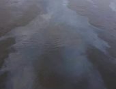 صور.. انتشار بقعة زيت بمياه ترعة الإسماعيلية بشبرا الخيمة