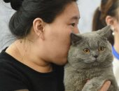 "شينخوا": شباب الصين يدمنون عادة "شم القطط" بسبب الفراغ العاطفى