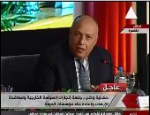 وزير الخارجية: مصر لا تتآمر على أحد وتعمل للخير والبناء