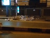 تراكم القمامة وانتشار الكلاب الضالة فى شارع نادى الصيد بالدقى.. صور 