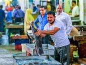 صورة اليوم.. الرزق يحب الخفية