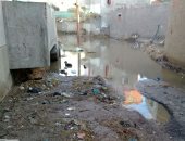 قارئ يناشد بتوصيل الصرف الصحى بقرية طنبدى محافظة المنوفية