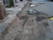 صور.. مخلفات الحيوانات تجتاح شوارع الأقصر وسط شكاوى المواطنين