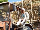 صورة اليوم... صوت طالع من المزارع يسبح للمولى ويزيد