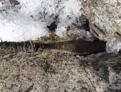 صور.. العثور على 2000 قطعة أثرية بالنرويج منذ 1300 عام قبل الميلاد