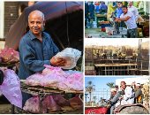 الشارع فى أسبوع.. ارتباط الفلاح المصرى بأرضه حكاية مابتنتهيش.. الرزق يحب الخفية فى شوادر السمك.. ومهما الوشوش شابت الود مابيختفيش فى ملامحها.. تحيا مصر حلم ملوش آخر