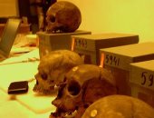 متحف بفرنسا يعد لائحة بـ 41 جمجمة شهيد لتسليمها إلى الجزائر