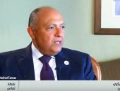 وزير الخارجية: دول أفريقيا تنظر للإخوان كمنظمة أرهابية وعودة السفير السودانى قريبًا