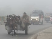 صور.. استمرار موجة الضباب الدخانى فى الهند