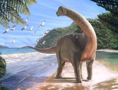 اكتشاف حفرية ديناصور بطول 10 أمتار ووزن 5.5 طن فى الصحراء الغربية