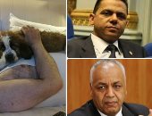 برلمانيون يكشفون لماذا احتقر أيمن نور  عاملى "الشرق" وفضل عليهم "الكلب"؟.. غطاطى: الفلوس الحرام بتروح على الحرام.. بكرى: نصاب محترف والعاملون خونة.. والخولى: بيان موظفى القناة فضح السلوك الأخلاقى والتمويلات