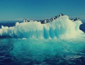 علماء بيئة يسعون لإنشاء ملاذ بحرى بالقطب الجنوبى لحماية الحيوانات