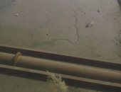 قارئ يشكو من جفاف المياه فى ترعة المحمودية بالبحيرة