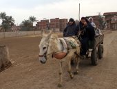 صورة اليوم.. فالناس موتى وأهل العلم أحياء