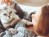 هل تسبب تربية القطط الإجهاض؟ 