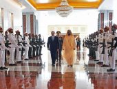 صفحة الرئيس تنشر صور مراسم استقبال السيسي فى دولة الإمارات