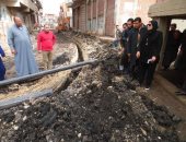 صور.. حملة تشجير وإزالة تعديات وقافلة طبية بقرى الحامول