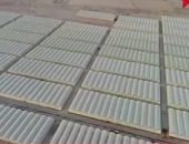 الرئيس السيسي يفتتح بعد قليل عددا من الصوب الزراعية فى محافظة مطروح