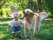ضحك ولعب وجد وحب.. صور تسرد حياة الكلاب مع أصدقائها   