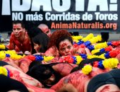 صور.. متظاهرون يصبغون جلودهم بلون أحمر ضد مصارعة الثيران بكولومبيا