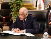 صور.. اجتماع للجنة مجلس النواب العامة لتأكيد دعمها للقوات المسلحة 