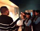 الجمهور يختار نموذجا لصناعة الطوب عند المصرى القديم لعرضه فى متحف ملوى