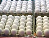 محافظ الإسكندرية: لا صحة لما يتداول عن البيض الصينى البلاستيك فى الأسواق