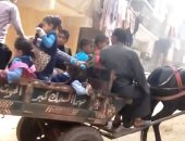 فيديو وصور.. أتوبيس التلاميذ فى المنوفية عربة بحصان
